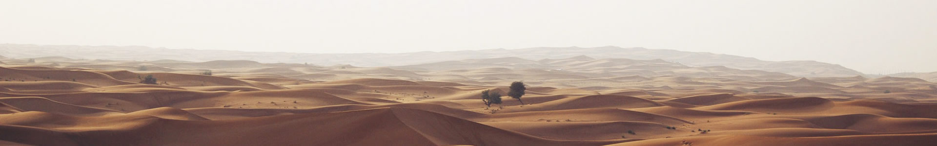 Ĵ˹Ƽ޹˾